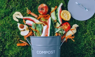 How Do You Make Compost at Home