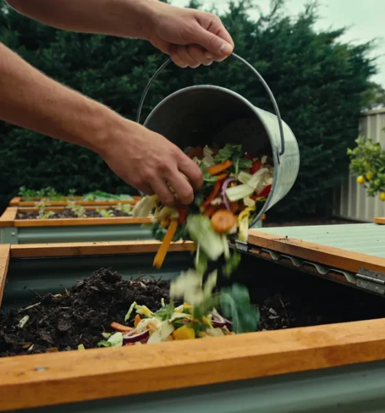 How Do You Make Compost at Home: Tips and Tricks