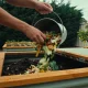 How Do You Make Compost at Home: Tips and Tricks