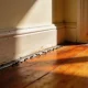 How to Get Rid of Ants: Why the Spray Makes It Worse