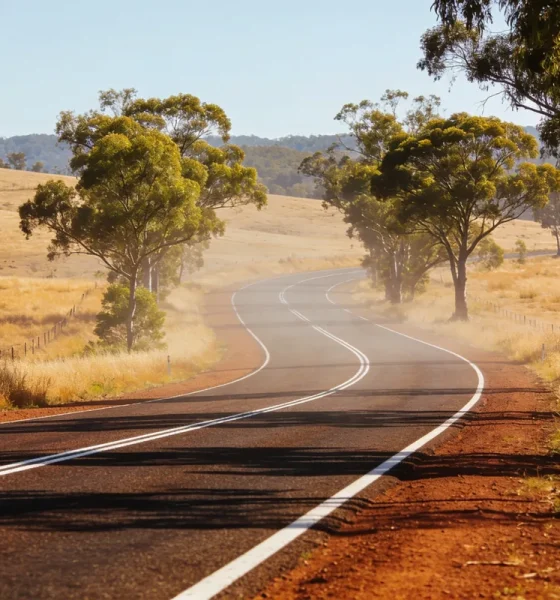 An empty two-lane country highway curving through dry golden paddocks and gum trees on a bright afternoon in the NSW Southern Highlands