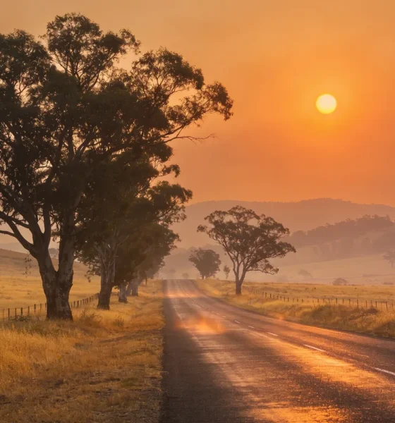 A country road running between dry yellow paddocks and gum trees under a smoky orange sky with a hazy sun