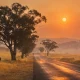 A country road running between dry yellow paddocks and gum trees under a smoky orange sky with a hazy sun