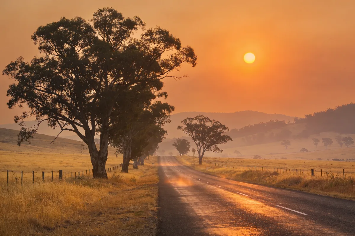A country road running between dry yellow paddocks and gum trees under a smoky orange sky with a hazy sun