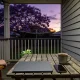 A closed laptop, a dark phone and a mug of tea on a timber table on a weatherboard verandah at dusk, a forearm resting on a chair arm, with a flowering jacaranda and a Hills hoist in the backyard